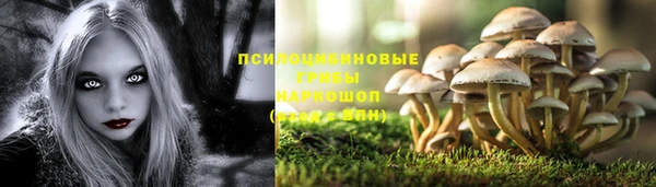 гашик Горно-Алтайск