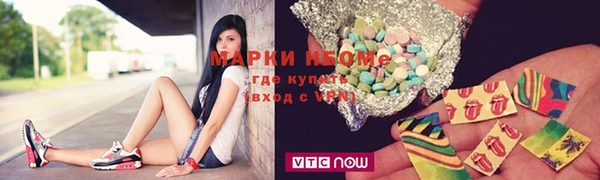 мдпв Горнозаводск