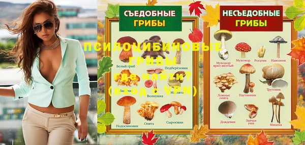 марки lsd Гусиноозёрск