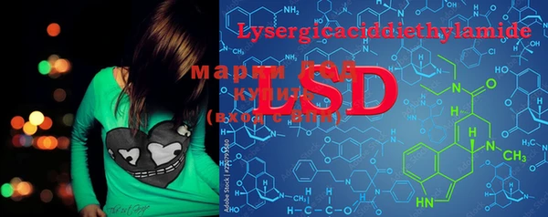 марки lsd Гусиноозёрск