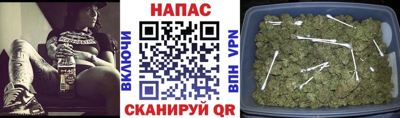 где купить наркотик Сыктывкар Конопля конопля